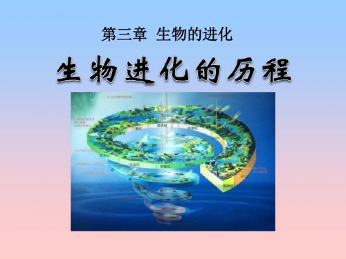 《生物进化的历程》生物的进化PPT课件3 (共34张PPT)