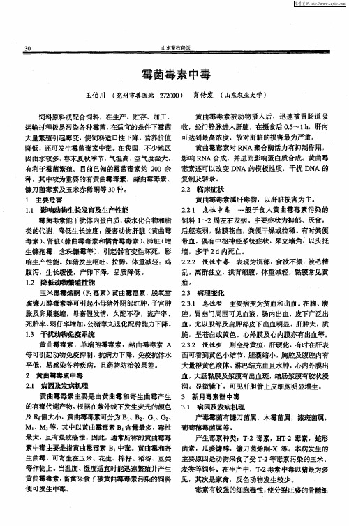 霉菌毒素中毒