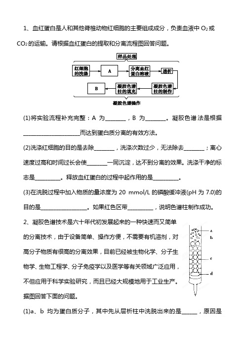 一轮复习：蛋白质的提取与分离作业2