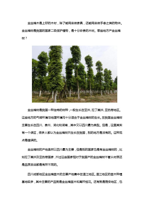 金丝楠树产地在哪里