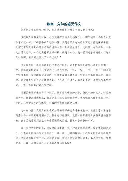 静坐一分钟的感受作文