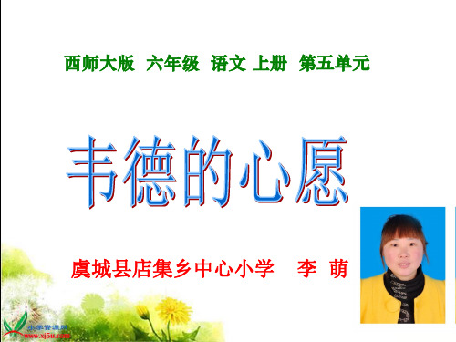 (西师大版)六年级语文上册课件_韦德的心愿