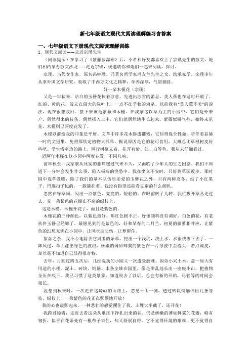 新七年级语文现代文阅读理解练习含答案