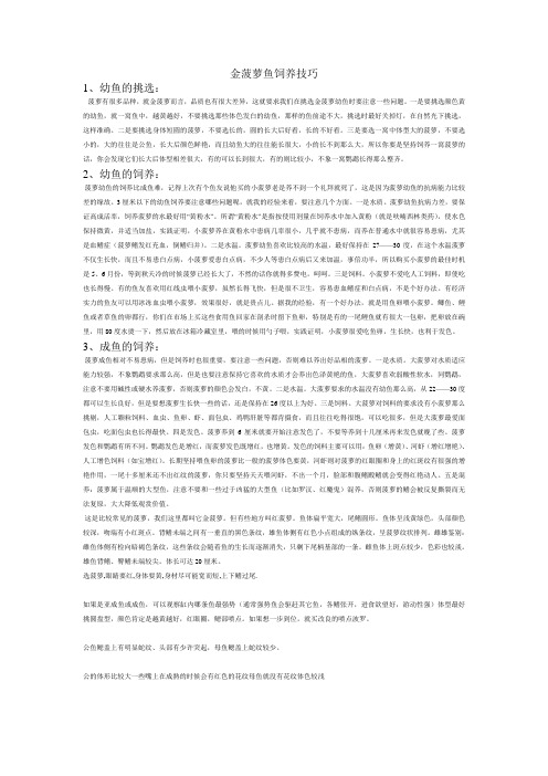 金菠萝鱼饲养技巧