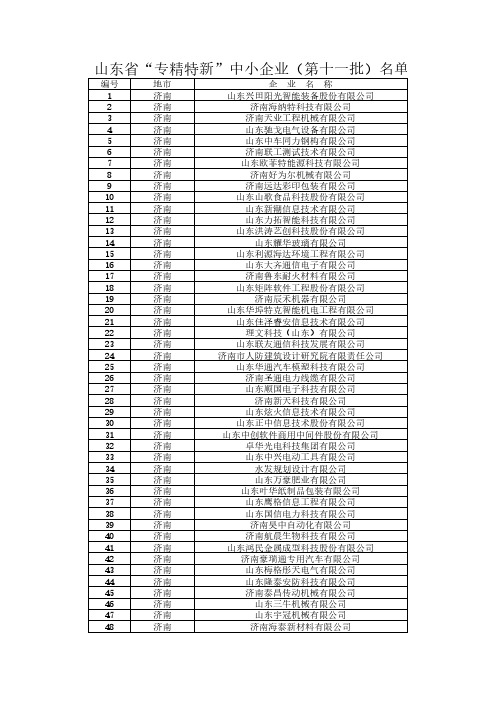 山东省“专精特新”中小企业(第十一批)名单
