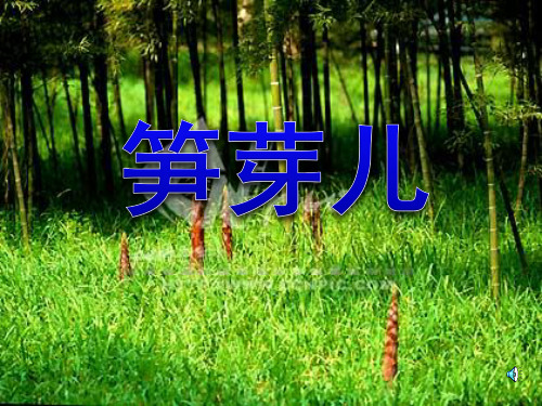 人教版小学二年级语文下册笋芽儿教学PPT课件 [修复的]