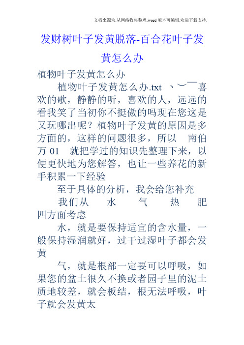 发财树叶子发黄脱落百合花叶子发黄怎么办