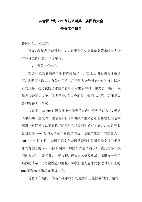 共青团第二届团员大会筹备工作报告