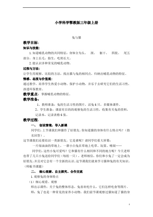 小学科学鄂教版三年级上册教案 兔和猫 2