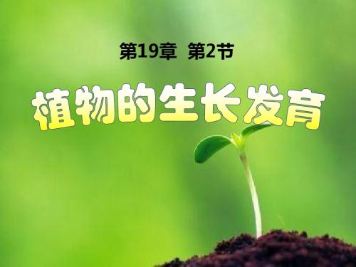 苏科版八年级上册生物植物的生长发育
