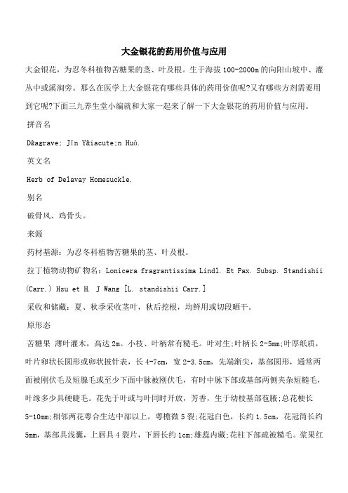 【优秀文档】大金银花的药用价值与应用
