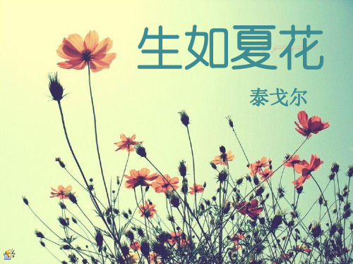 生如夏花泰戈尔
