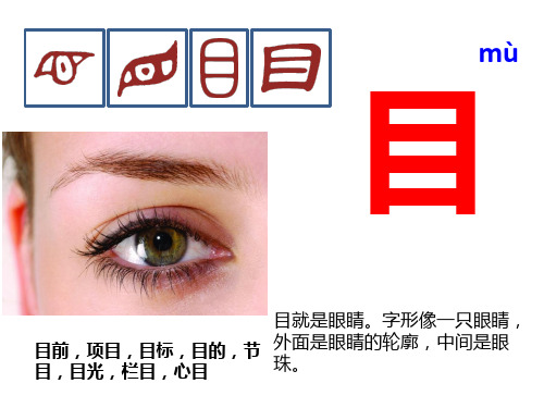 与“目”有关的汉字