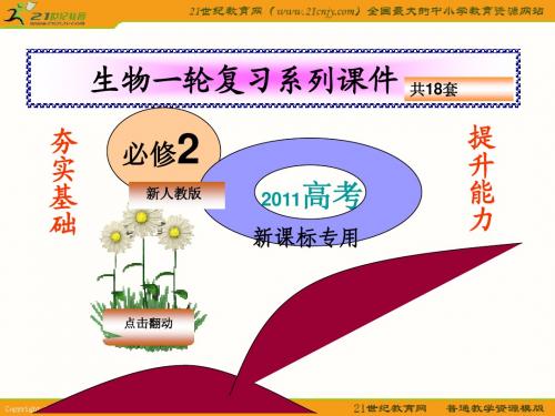 2011高考生物一轮复习：自由组合定律(新人教必修2)