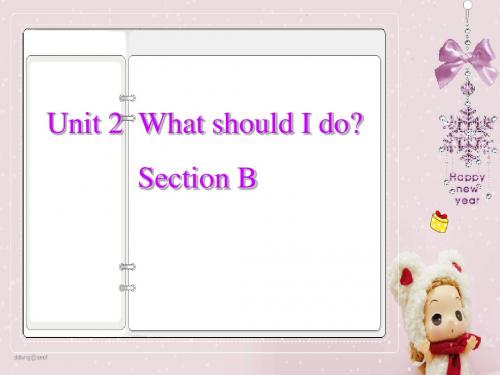 Unit_2_What_should_I_do_Section_B_2