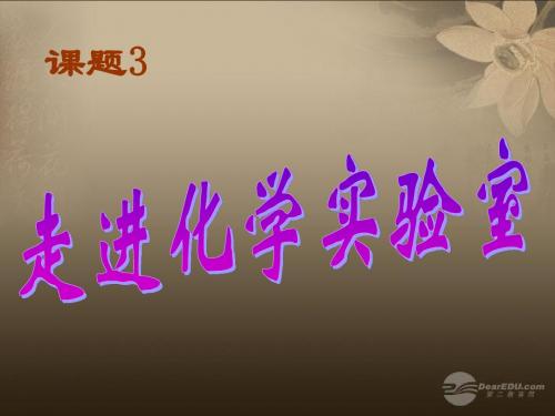河南省郸城县光明中学九年级化学上册 第1单元 走进化学世界 课题3 走进化学实验室教学课件3 新人教版