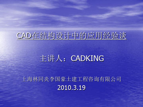 20100319-CAD在结构设计中应用经验谈