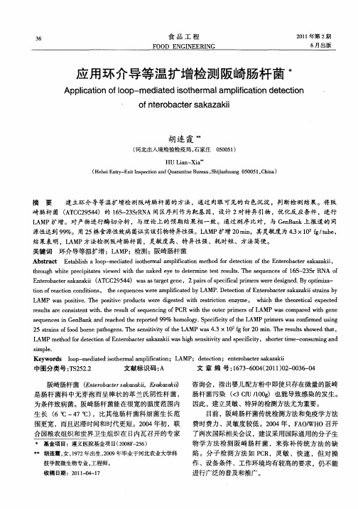 应用环介导等温扩增检测阪崎肠杆菌