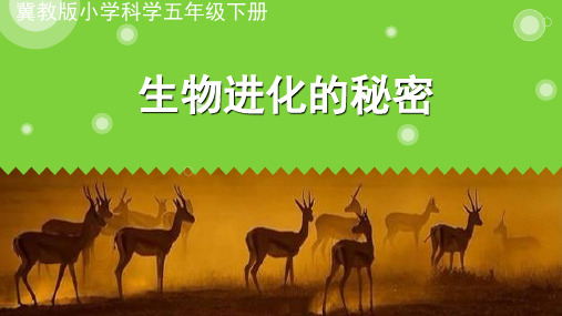 五年级下册科学课件-12生物进化的秘密 ｜冀教版  (共18张PPT)