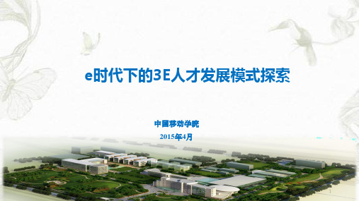 e时代下的3E人才发展模式探索课件