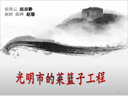 光明市的菜篮子工程课件