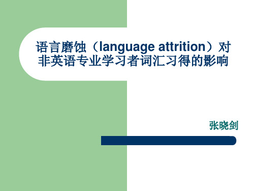 张剑的二语习得作业