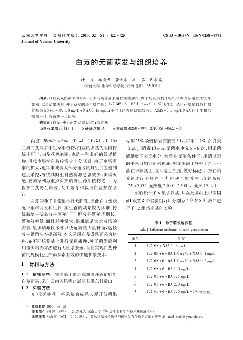 白芨的无菌萌发与组织培养