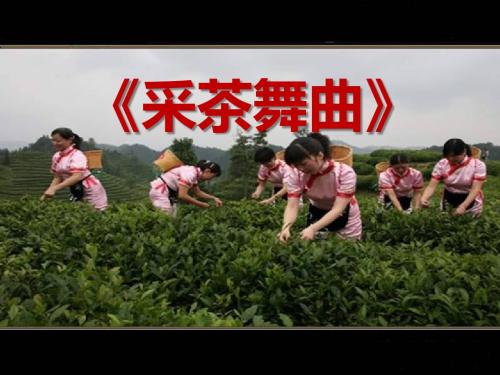 《采茶舞曲》PPT课件2