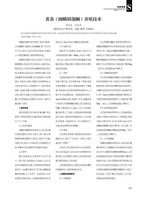 黄条(细鳞斜颌鲴)养殖技术