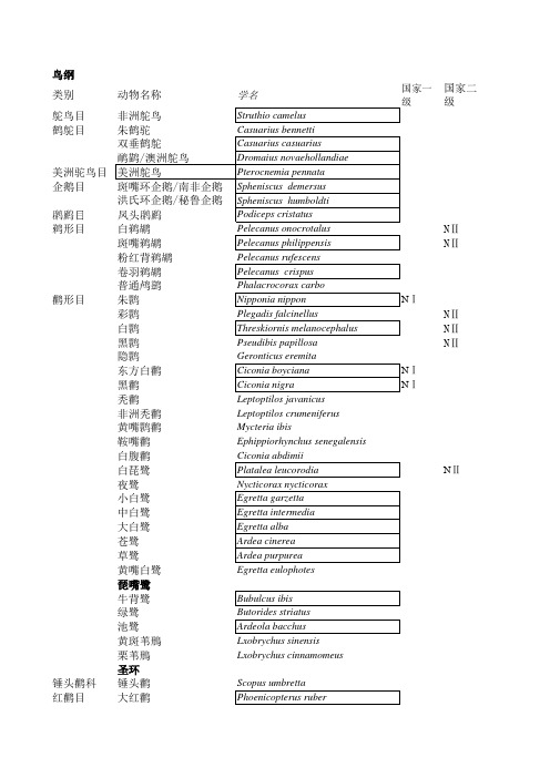 鸟类目录