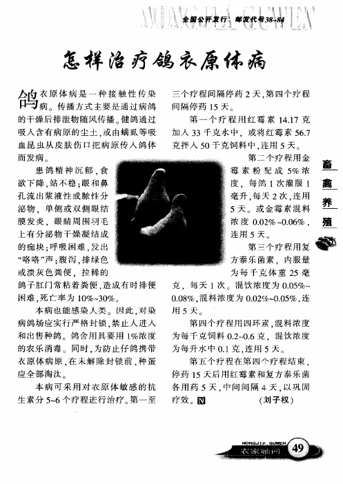 怎样治疗鸽衣原体病