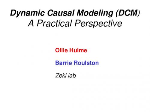 Dynamic Causal Modeling (DCM)A Practical Perspective