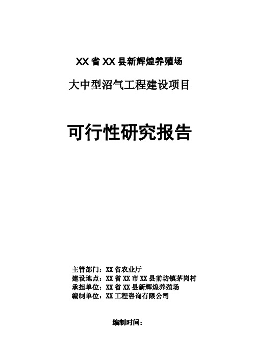 新辉煌养殖场(猪粪尿)大中型沼气工程建设项目可行性研究报告