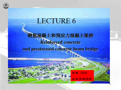 lecture 06 钢筋混凝土和预应力混凝土梁桥(参考课件)