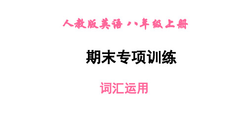 人教版英语八年级上册   期末复习    词汇运用   专项训练