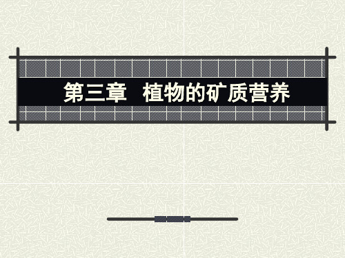 植物生理学_03矿质营养