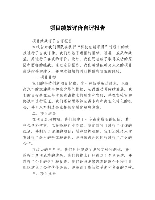 项目绩效评价自评报告