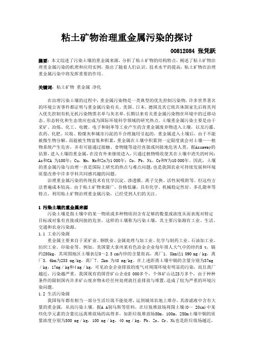 粘土矿物治理重金属污染的探讨