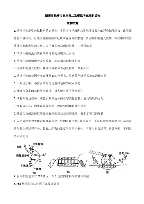 湖南省长沙市2020届高三第二次模拟考试理科综合生物试题(有答案)(精校版)