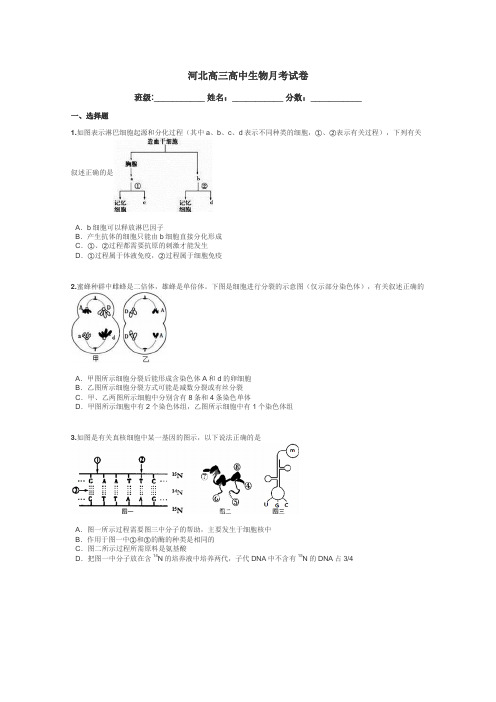 河北高三高中生物月考试卷带答案解析
