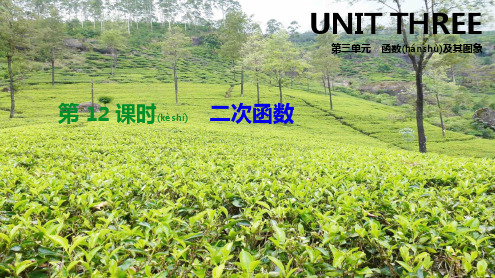 中考数学总复习 第三单元 函数 第12课时 二次函数课件