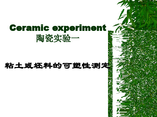 陶瓷实验一