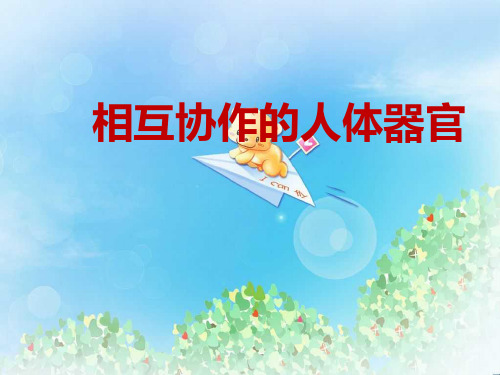 《相互协作的人体器官》我们的身体PPT2  图文