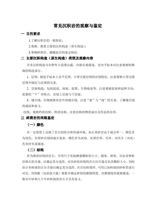 实习五常见沉积岩的观察与鉴定