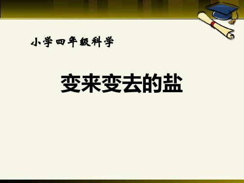 《变来变去的盐》PPT课件