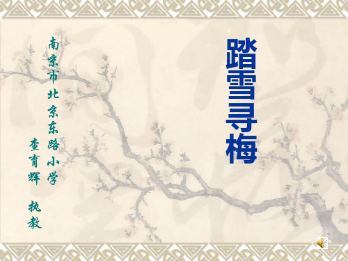苏少版小学五年级音乐踏雪寻梅精品课件