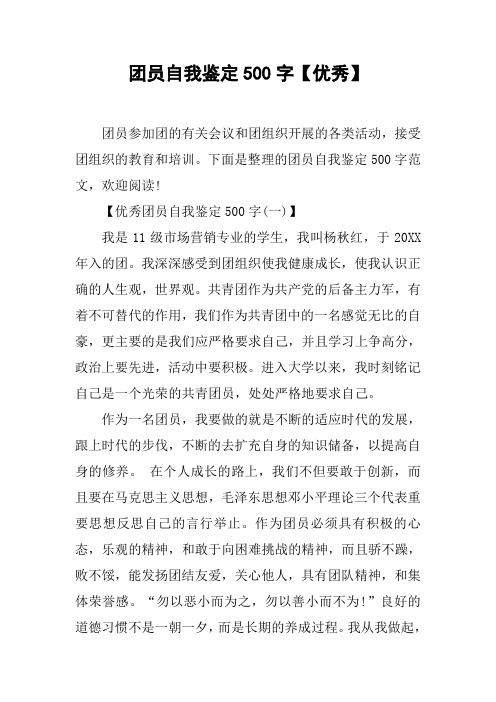 团员自我鉴定500字【优秀】[工作范文]