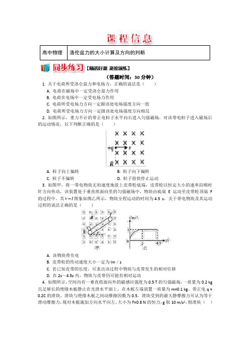  运动电荷在磁场中受到的力 课时作业(含解析) (40)