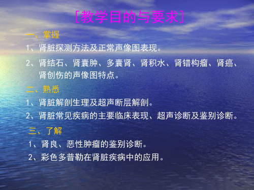 肾脏解剖肾积水肾囊肿的超声诊断学ppt课件