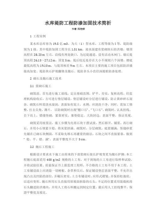 水库堤防工程防渗加固技术简析
